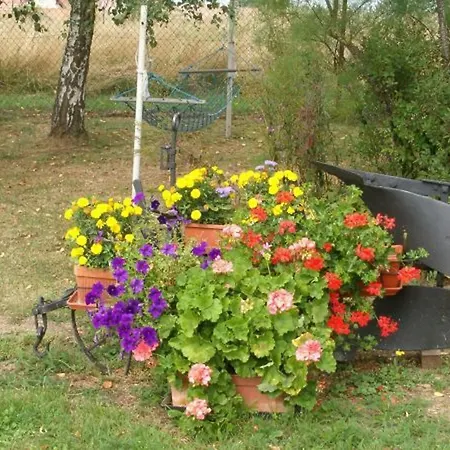 Ensoleille Ideal Pour Couples - Proche D'epinal Avec Terrasse Et Wifi - Fr-1-589-613 Gospodarstwo wiejskie